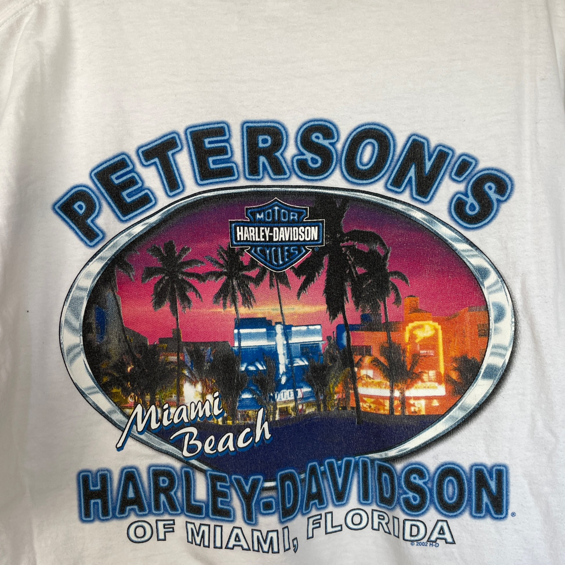 Harley Davidson Shirt - Vintage Reborn