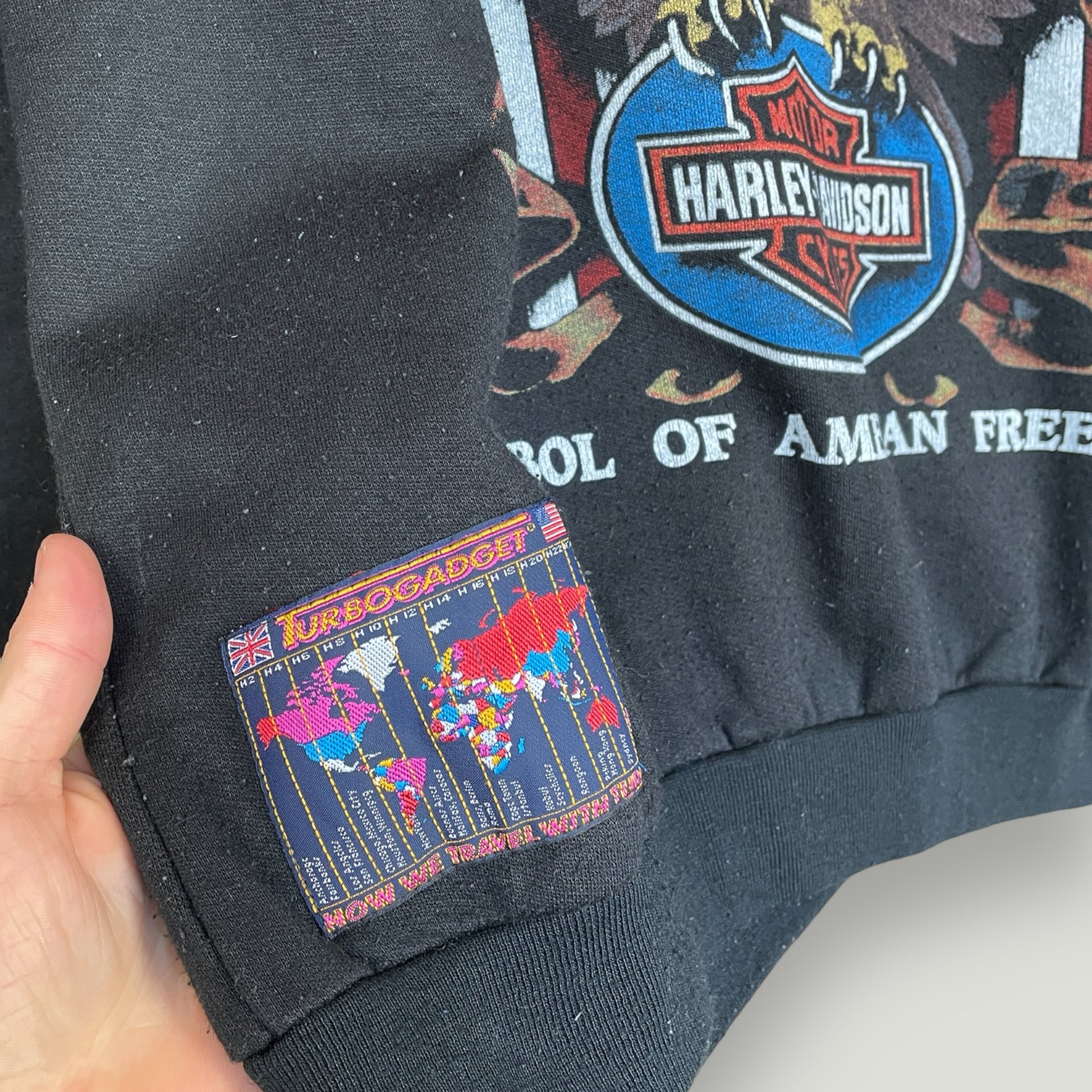 Harley Davidson Hoodie (M) - Vintage Reborn