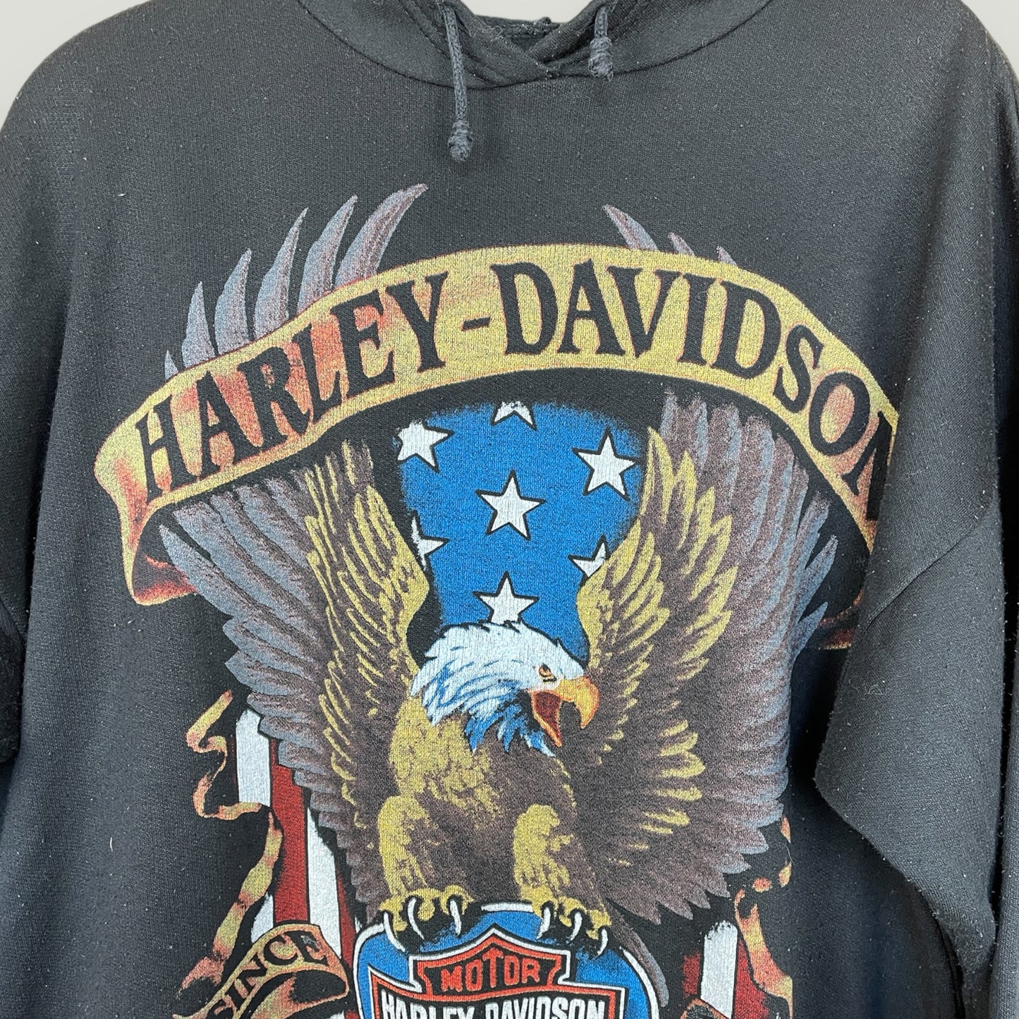 Harley Davidson Hoodie (M) - Vintage Reborn